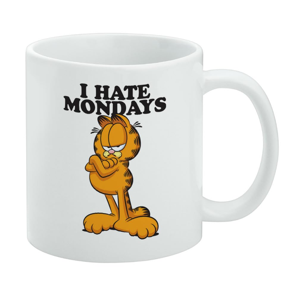 Amazon.com | Garfield I Hate Mondays Ceramic Coffee Mug, Novelty